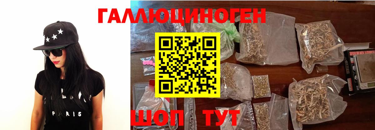 Псилоцибиновые грибы Cubensis Всеволожск